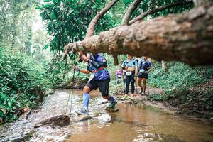 BIB: 
                            <button type="button" onclick="openModal(25375920)" class="btn btn-primary btn-sm float-right btn-popup" data-toggle="modal" data-target=".modal-high-quality">
                        <i class="fas fa-shopping-cart"></i> Add to Cart
                    </button>
                                            <button type="button" onclick="isThisMe(25375920, true)" class="btn btn-success btn-sm float-right btn-popup btn-isme hidden" data-toggle="tooltip" data-placement="bottom" title="นี่คือรูปของคุณใช่ไหม คลิกที่นี่เพื่อเอาเข้าอัลบั้ม">
                        <i class="fas fa-plus"></i> Add to album
                    </button>
                    <button type="button" onclick="isThisMe(25375920, false)" class="btn btn-warning btn-sm float-right btn-popup btn-isnotme hidden">
                        <i class="fas fa-ban"></i> Remove from album
                    </button>